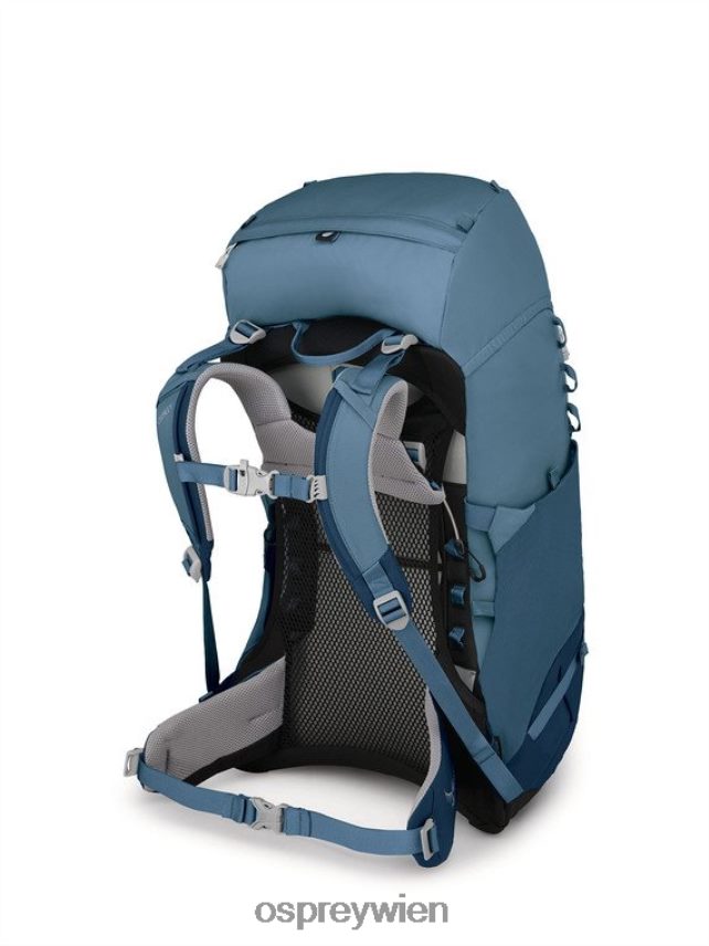 Kinder Ace 38 Backpacking (5–11 Jahre) Osprey blaue Hügel Rucksack J4028N355