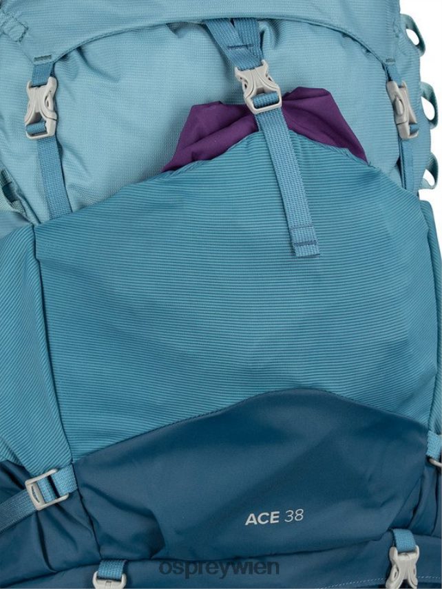 Kinder Ace 38 Backpacking (5–11 Jahre) Osprey blaue Hügel Rucksack J4028N355