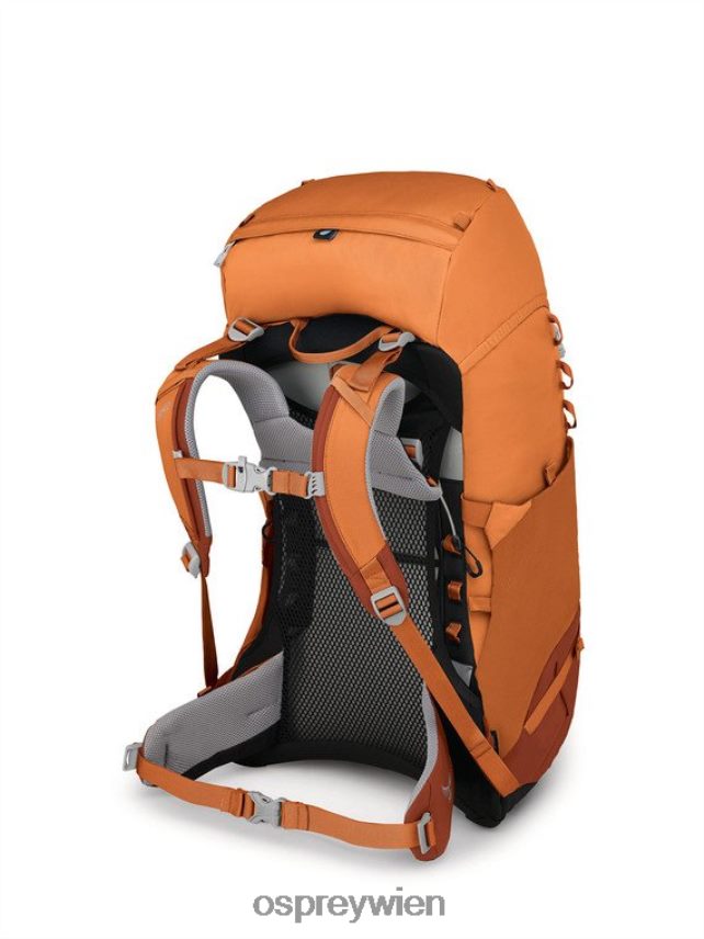 Kinder Ace 38 Backpacking (5–11 Jahre) Osprey orangefarbener Sonnenuntergang Rucksack J4028N356