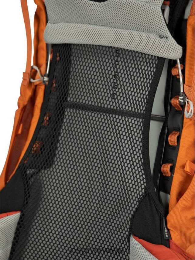 Kinder Ace 50 Backpacking (8–14 Jahre) Osprey blaue Hügel Rucksack J4028N485
