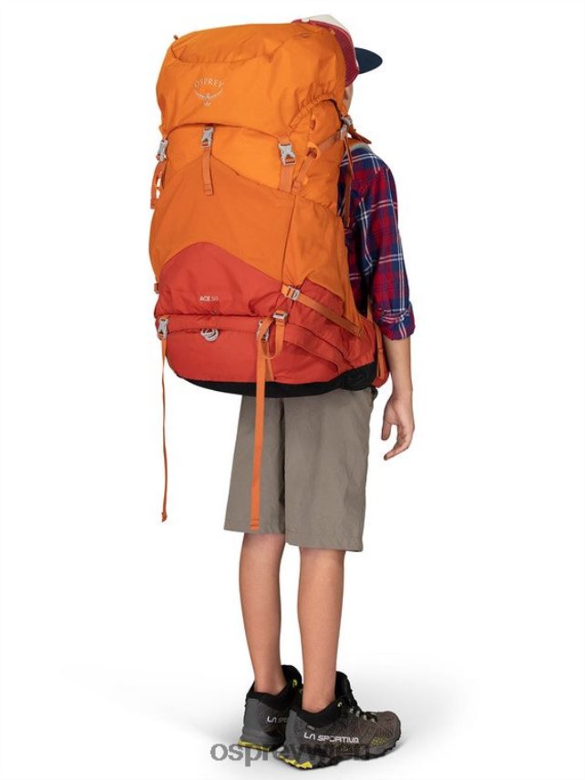 Kinder Ace 50 Backpacking (8–14 Jahre) Osprey blaue Hügel Rucksack J4028N485