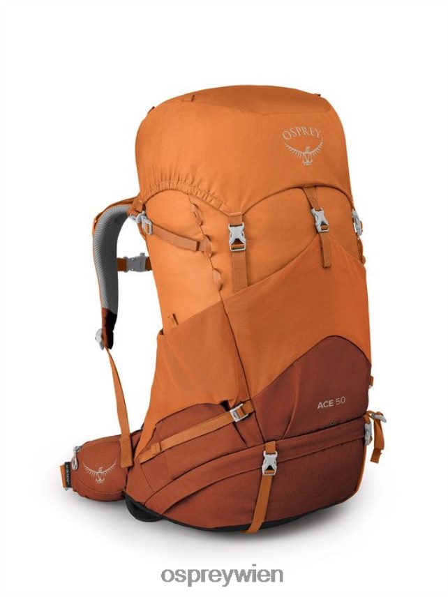 Kinder Ace 50 Backpacking (8–14 Jahre) Osprey orangefarbener Sonnenuntergang Rucksack J4028N486