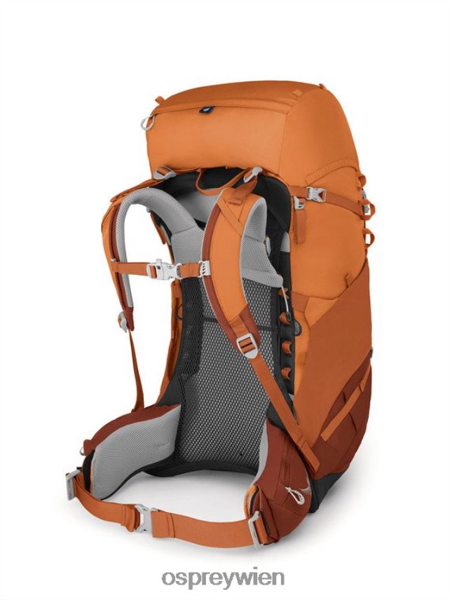 Kinder Ace 50 Backpacking (8–14 Jahre) Osprey orangefarbener Sonnenuntergang Rucksack J4028N486