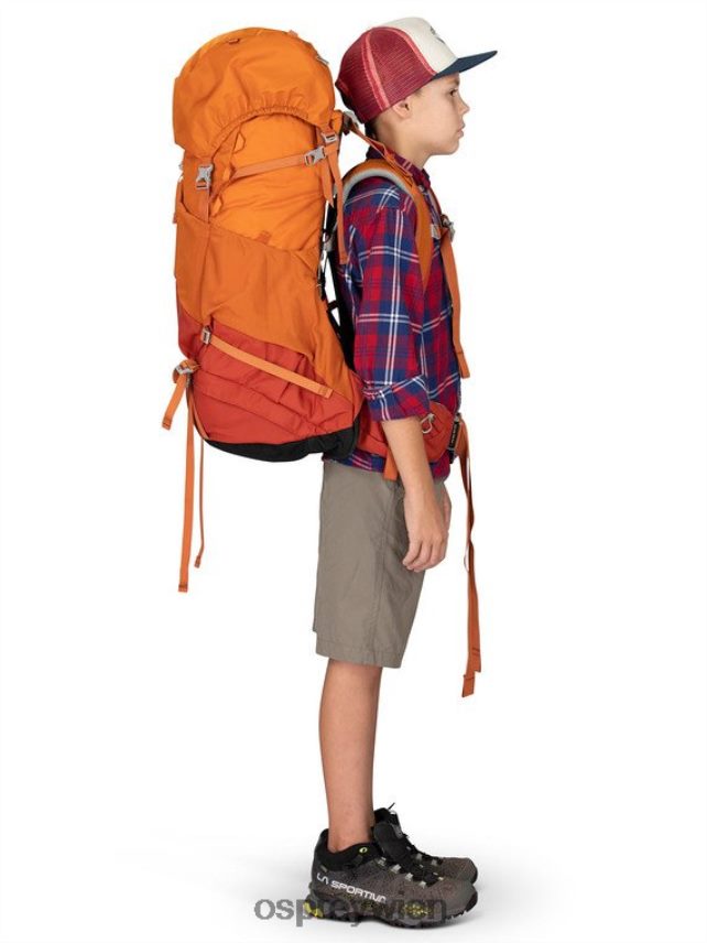 Kinder Ace 50 Backpacking (8–14 Jahre) Osprey orangefarbener Sonnenuntergang Rucksack J4028N486