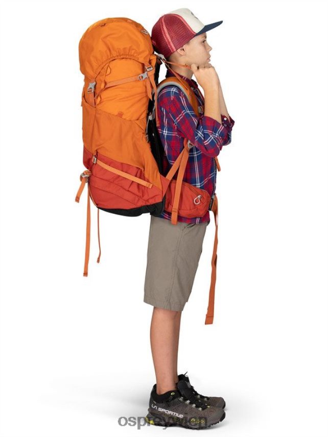 Kinder Ace 50 Backpacking (8–14 Jahre) Osprey orangefarbener Sonnenuntergang Rucksack J4028N486