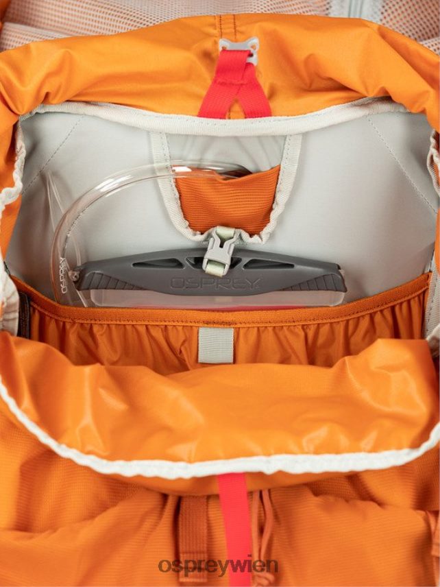Kinder Ace 50 Backpacking (8–14 Jahre) Osprey orangefarbener Sonnenuntergang Rucksack J4028N486