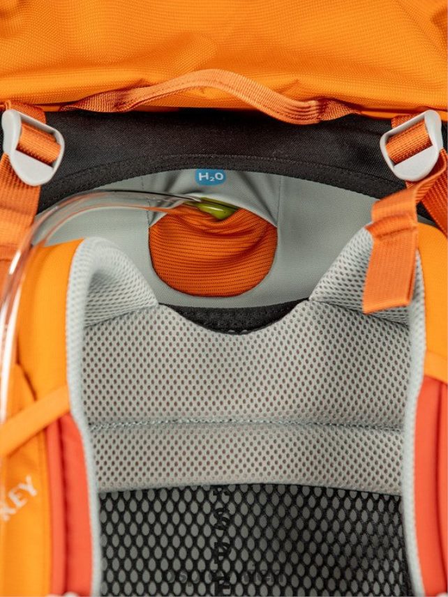 Kinder Ace 50 Backpacking (8–14 Jahre) Osprey orangefarbener Sonnenuntergang Rucksack J4028N486