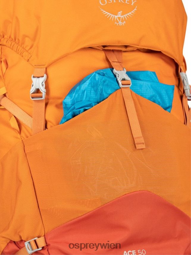 Kinder Ace 50 Backpacking (8–14 Jahre) Osprey orangefarbener Sonnenuntergang Rucksack J4028N486