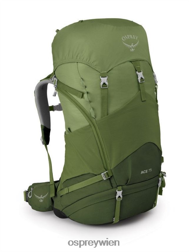 Kinder Ace 75 Backpacking (12–17 Jahre) Osprey Venture Green Rucksack J4028N487