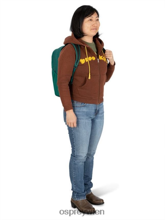 unisex Überreste des Lebensstils eines Studentenrudels Osprey Regenwaldgrün Rucksack J4028N491