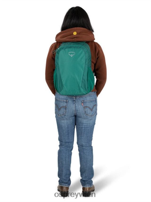 unisex Überreste des Lebensstils eines Studentenrudels Osprey Regenwaldgrün Rucksack J4028N491
