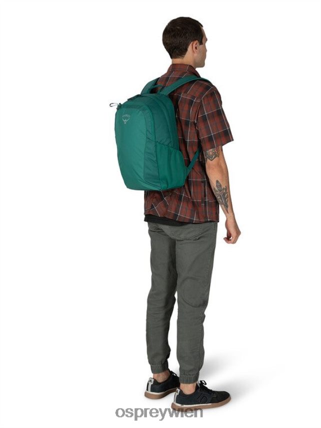 unisex Überreste des Lebensstils eines Studentenrudels Osprey Regenwaldgrün Rucksack J4028N491