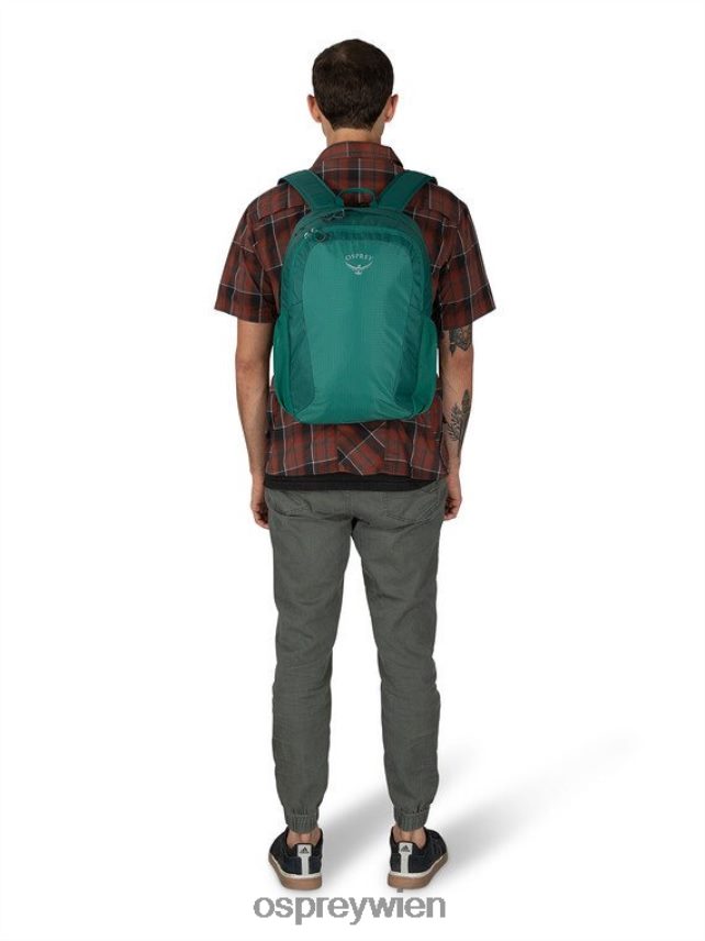unisex Überreste des Lebensstils eines Studentenrudels Osprey Regenwaldgrün Rucksack J4028N491