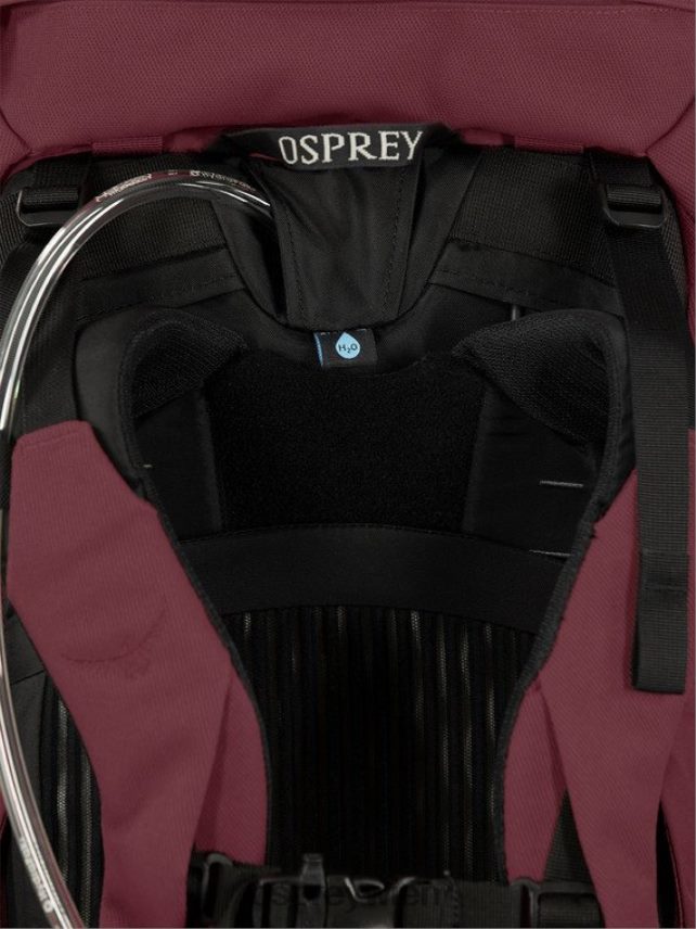 Frauen Archeon 45 Rucksackreisen | reisen | zerklüftet Osprey Weltraumblau Rucksack J4028N421