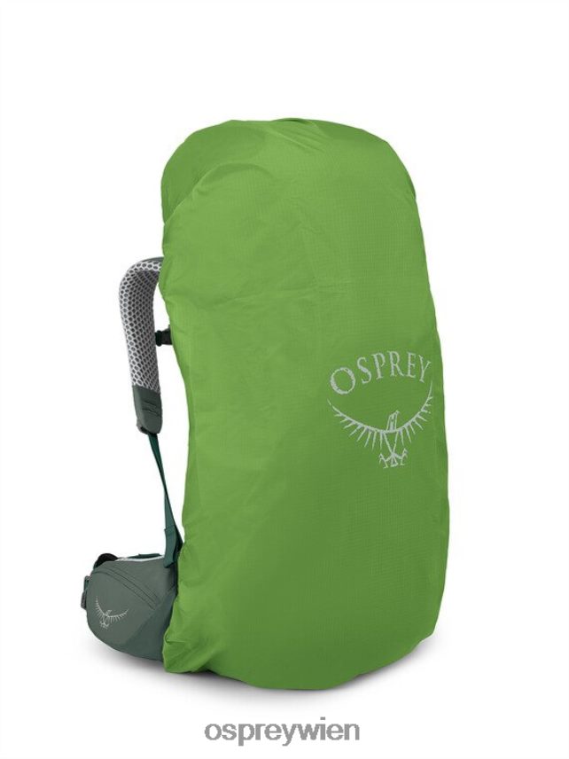 Frauen Aura AG LT 50 Rucksackreisen Osprey Koseret Darjeeling Frühlingsgrün Rucksack J4028N5