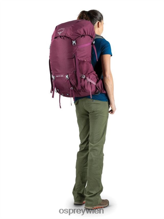Frauen Renn 65 Rucksackreisen Osprey Herausforderer blau Rucksack J4028N107