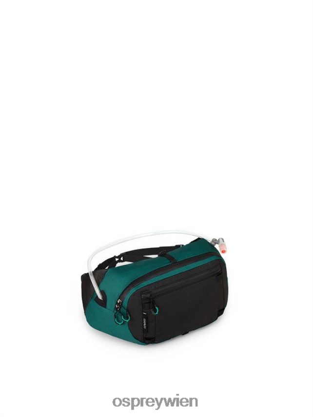 Frauen Unltd Antigravity 64 Rucksackreisen Osprey Hostas grün Rucksack J4028N50