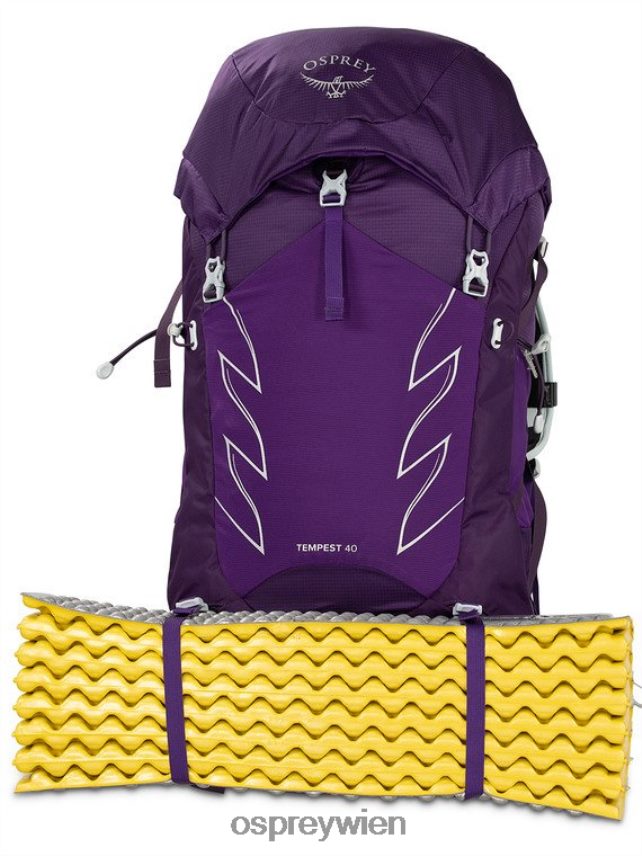 Frauen tempest 40 leichtes Rucksackwandern | Wandern | Multisport Osprey Stealth-Schwarz Rucksack J4028N34