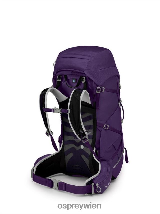Frauen tempest 40 leichtes Rucksackwandern | Wandern | Multisport Osprey violettviolett Rucksack J4028N35
