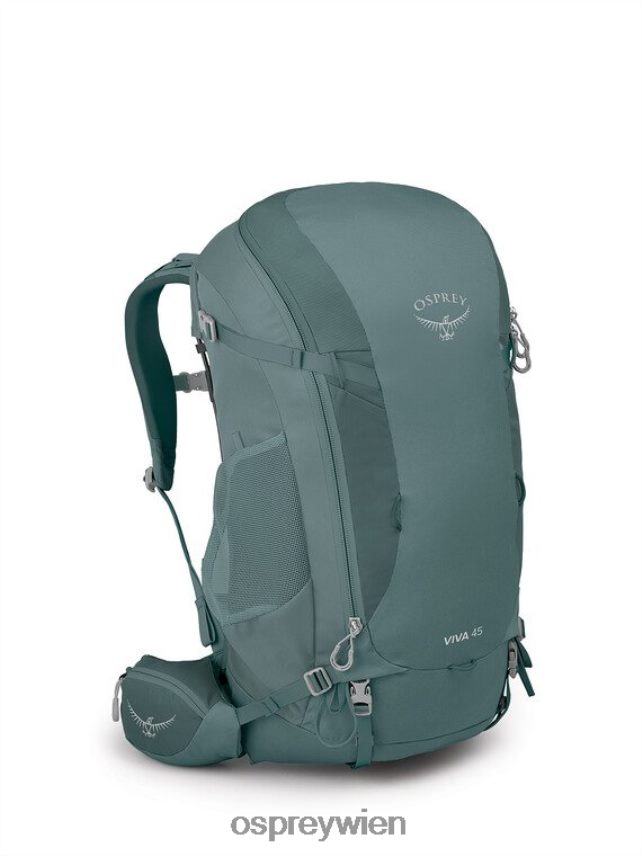 Frauen viva 45 Rucksackreisen Osprey saftiges Grün Rucksack J4028N43