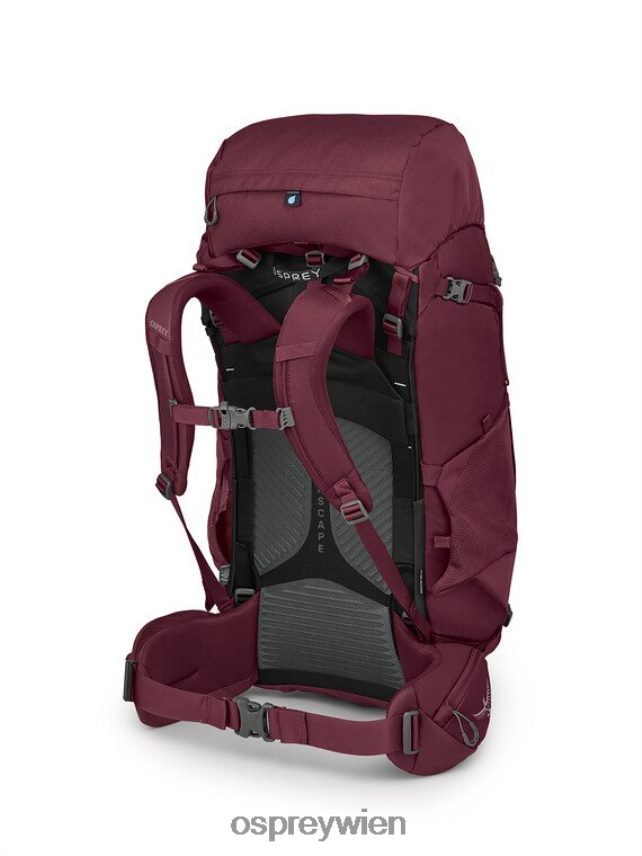 Frauen viva 65 Rucksackreisen Osprey Gegenmittel lila Rucksack J4028N47