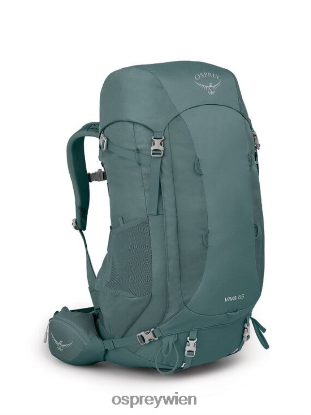 Frauen viva 65 Rucksackreisen Osprey saftiges Grün Rucksack J4028N46