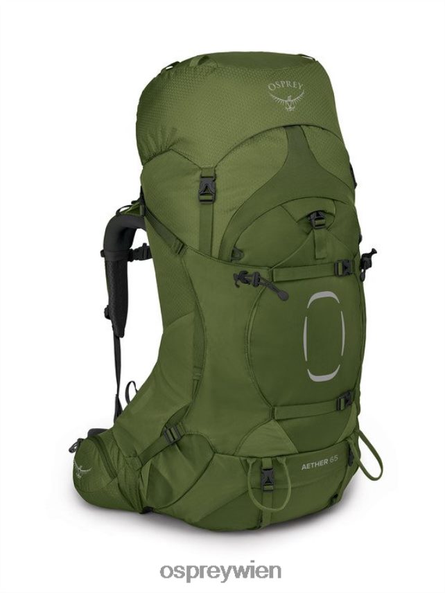 Männer Aether 65 Rucksackreisen Osprey Knoblauch, Senfgrün Rucksack J4028N73