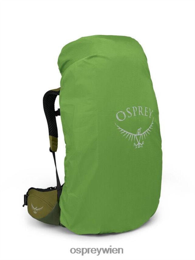 Männer Atmos AG LT 65 Rucksackreisen Osprey malerisches grünes Pfefferkorn im Tal Rucksack J4028N2