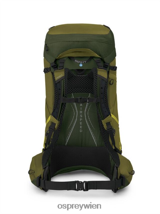 Männer Atmos AG LT 65 Rucksackreisen Osprey malerisches grünes Pfefferkorn im Tal Rucksack J4028N2