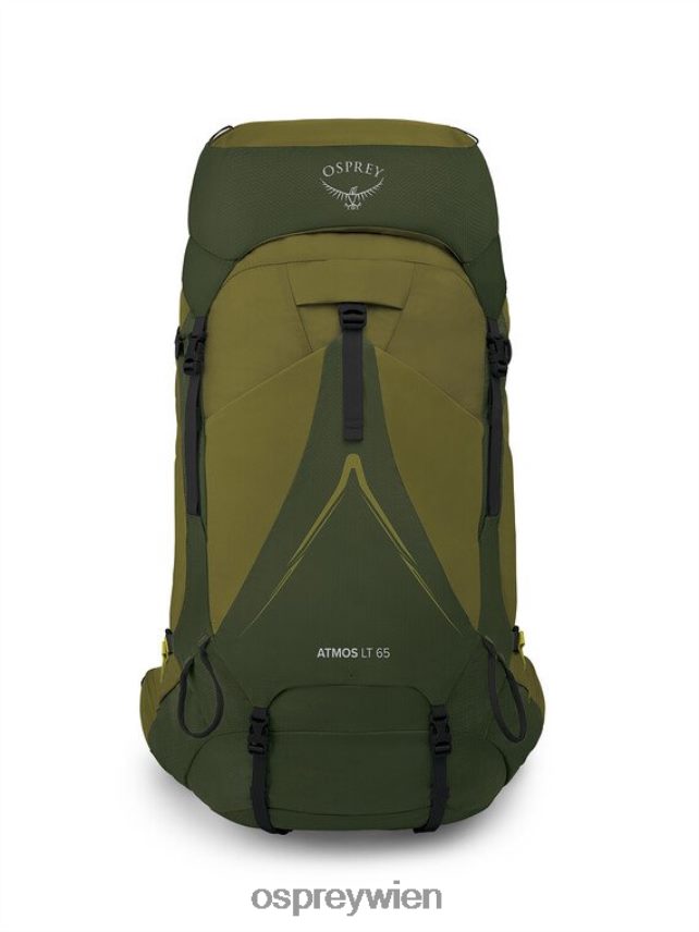 Männer Atmos AG LT 65 Rucksackreisen Osprey malerisches grünes Pfefferkorn im Tal Rucksack J4028N2