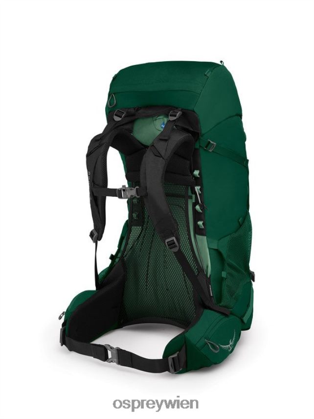 Männer Rook 50 Rucksacktour Osprey Stockentengrün Rucksack J4028N96