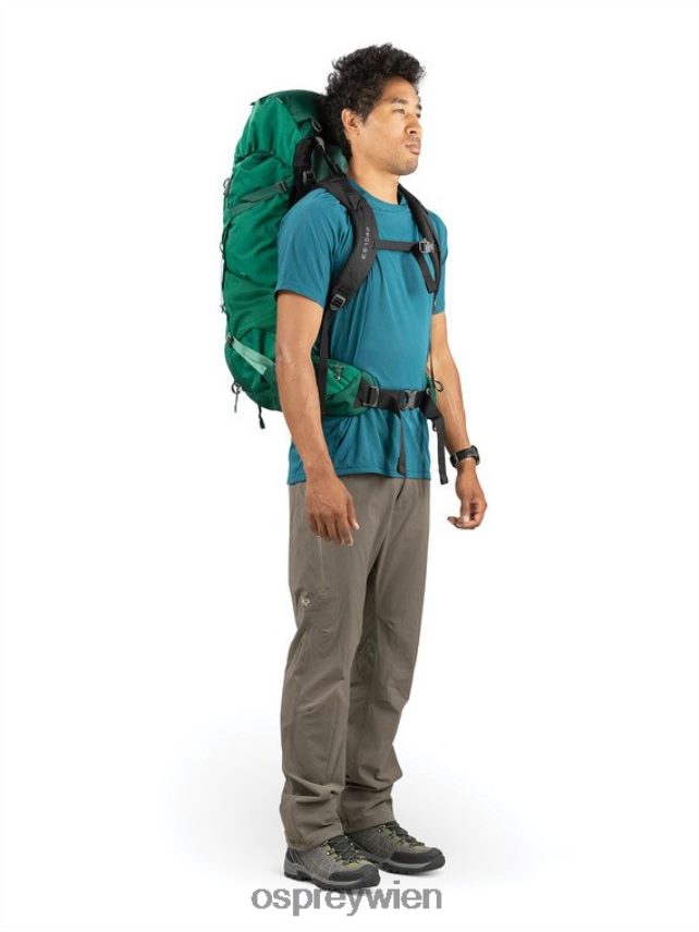 Männer Rook 50 Rucksacktour Osprey Stockentengrün Rucksack J4028N96