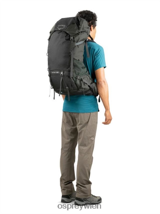 Männer Rook 65 Rucksackreisen Osprey Schwarz Rucksack J4028N100