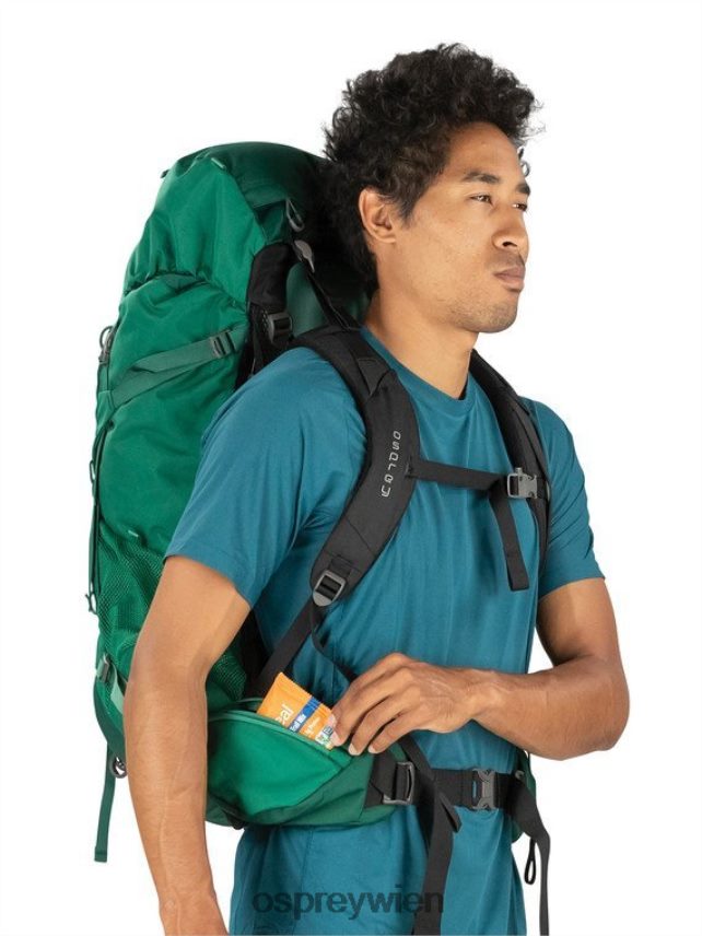 Männer Rook 65 Rucksackreisen Osprey Stockentengrün Rucksack J4028N99