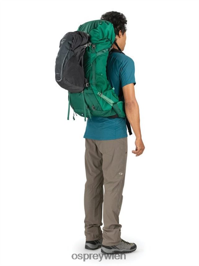 Männer Rook 65 Rucksackreisen Osprey Stockentengrün Rucksack J4028N99