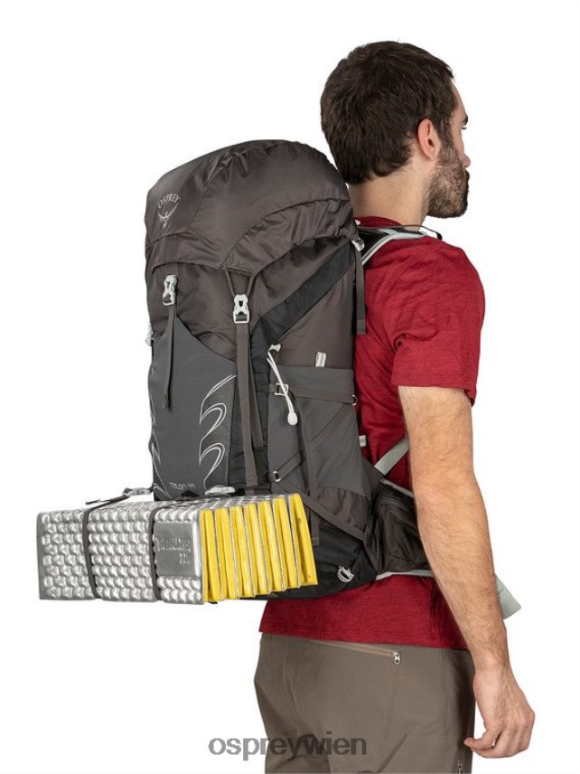 Männer Talon 44 Rucksackreisen | Wandern | Multisport Osprey Stealth-Schwarz Rucksack J4028N27