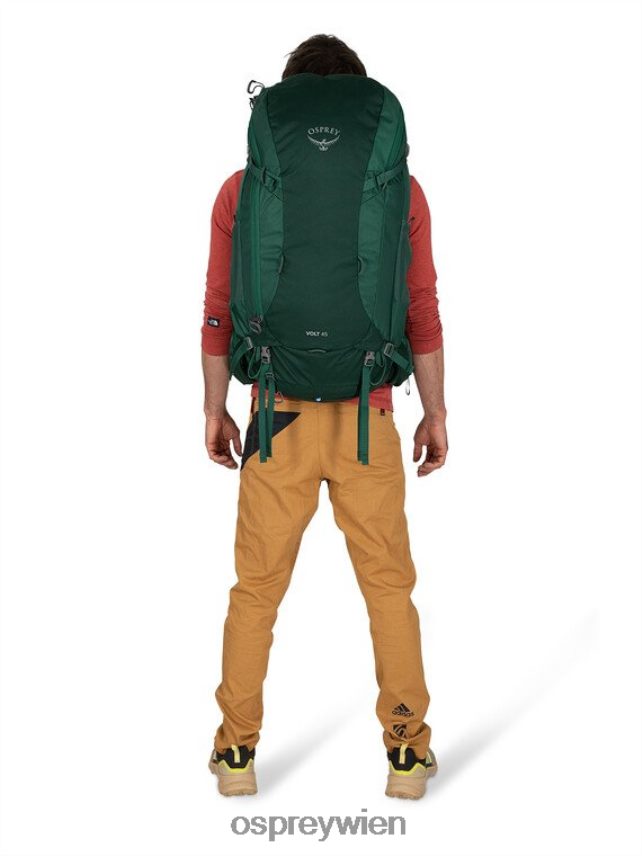 Männer Volt 45 Rucksackreisen Osprey gedämpftes Weltraumblau Rucksack J4028N38