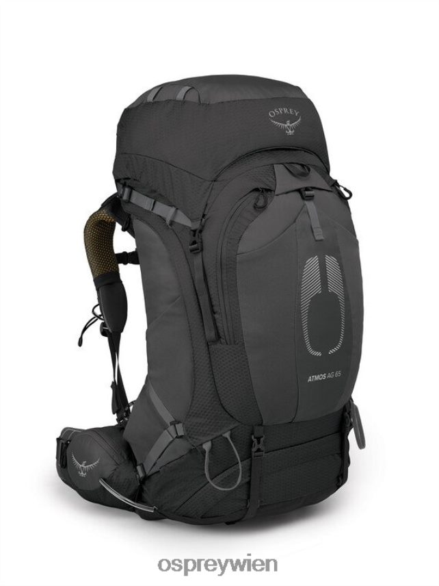 Männer atmos ag 65 Rucksackreisen Osprey Schwarz Rucksack J4028N15