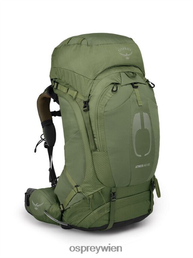 Männer atmos ag 65 Rucksackreisen Osprey mythisches Grün Rucksack J4028N14