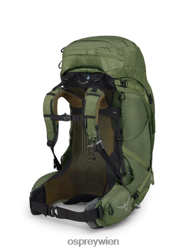 Männer atmos ag 65 Rucksackreisen Osprey mythisches Grün Rucksack J4028N14