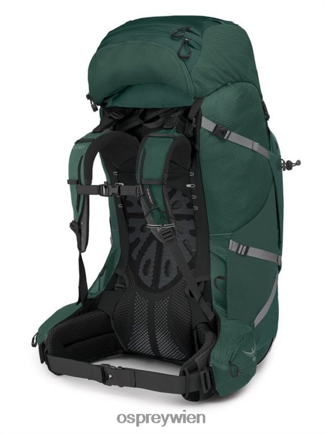 Männer Äther plus 100 Rucksackreisen Osprey Axogrün Rucksack J4028N80