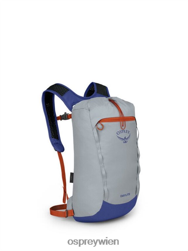 unisex Daylite Cinch jeden Tag Osprey Silberstreifen-Blaubeere Rucksack J4028N377