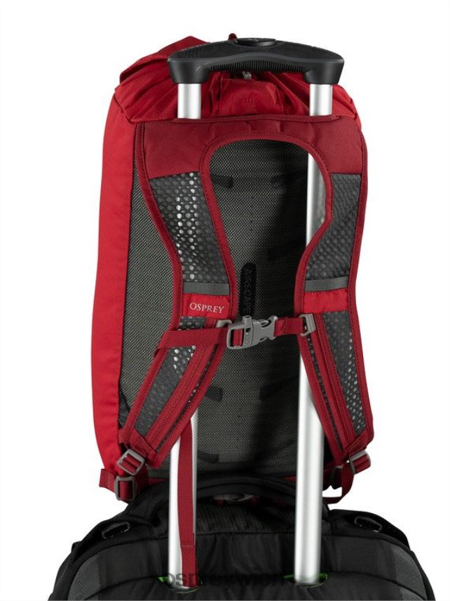 unisex Daylite Cinch jeden Tag Osprey Silberstreifen-Blaubeere Rucksack J4028N377