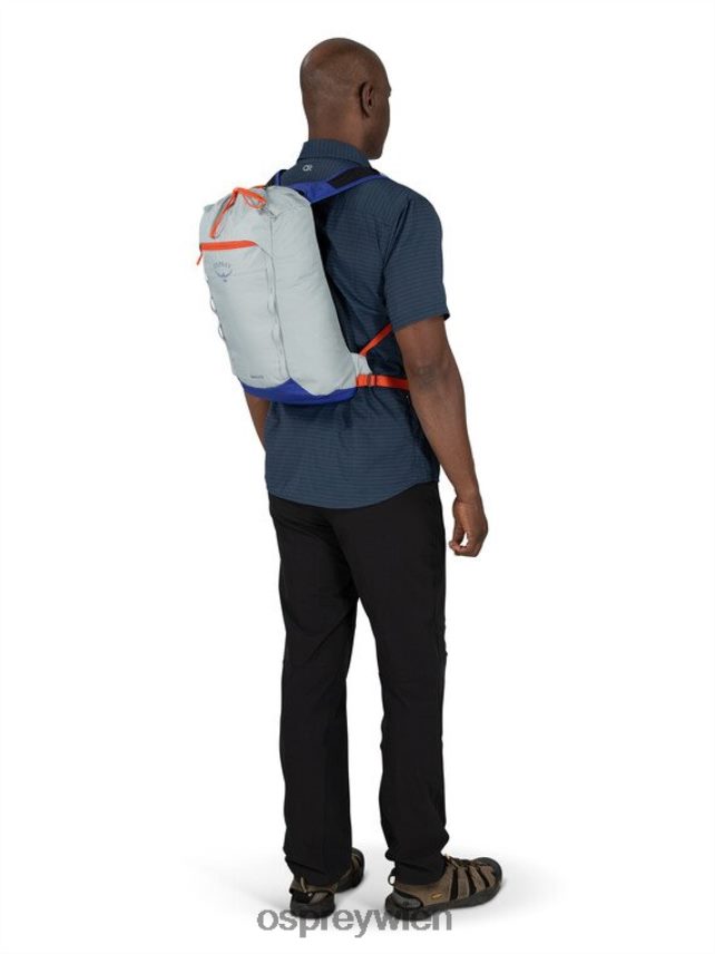 unisex Daylite Cinch jeden Tag Osprey Silberstreifen-Blaubeere Rucksack J4028N377