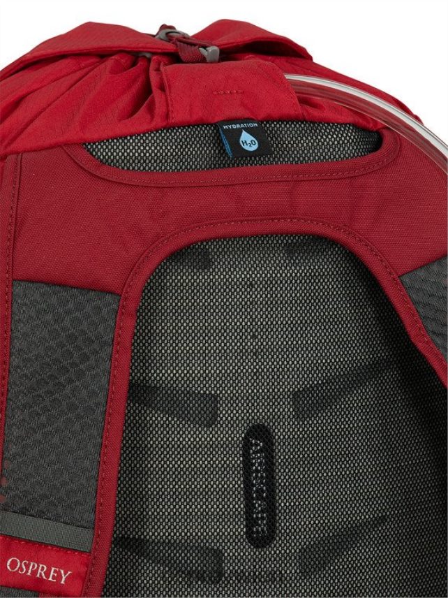 unisex Daylite Cinch jeden Tag Osprey Silberstreifen-Blaubeere Rucksack J4028N377