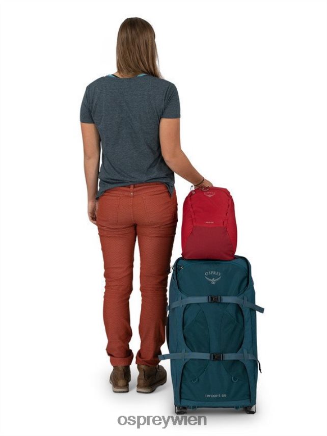 unisex Daylite Cinch jeden Tag Osprey kosmisches Rot Rucksack J4028N373