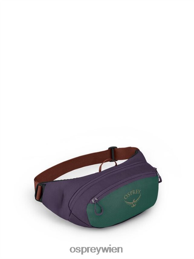 unisex Daylite-Taille jeden Tag Osprey Axo Green Enchanting Purple Rucksack J4028N406
