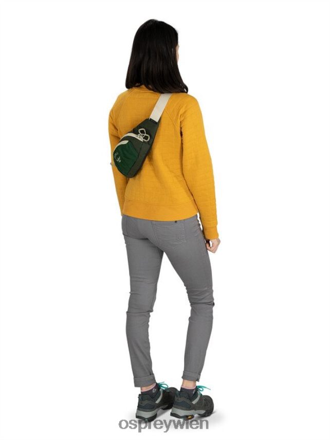 unisex Daylite-Taille jeden Tag Osprey Axo Green Enchanting Purple Rucksack J4028N406