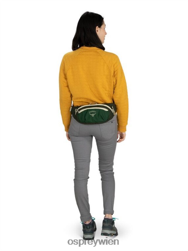 unisex Daylite-Taille jeden Tag Osprey Eskapade grün Baikalgrün Rucksack J4028N410