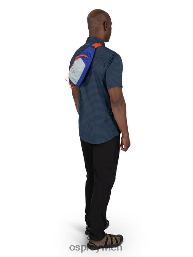 unisex Daylite-Taille jeden Tag Osprey Silberstreifen-Blaubeere Rucksack J4028N409